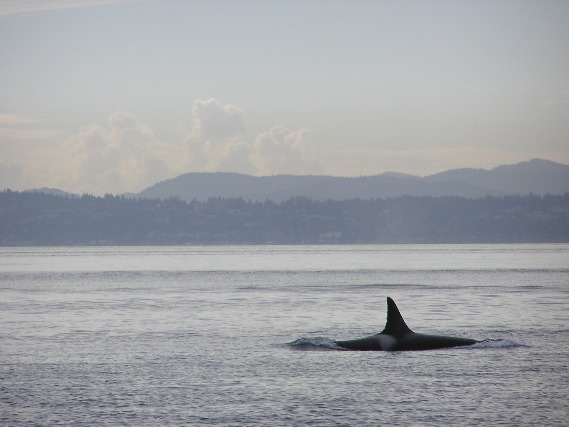 05.09.30.K40.JPG copy