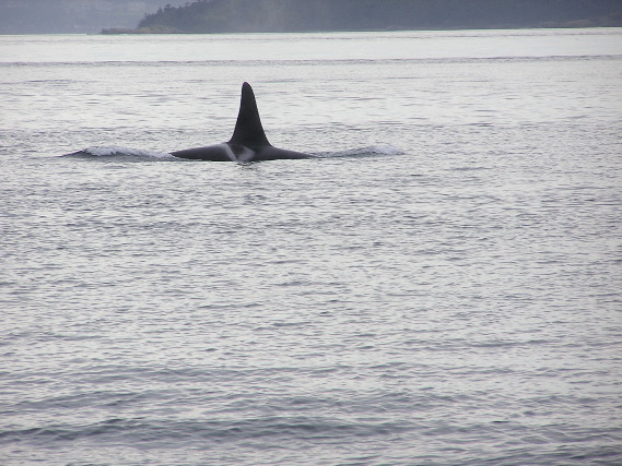 05.09.30.K21.JPG copy