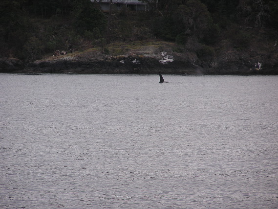 05.09.30.J1.JPG copy