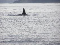 05.09.30.K21.JPG copy