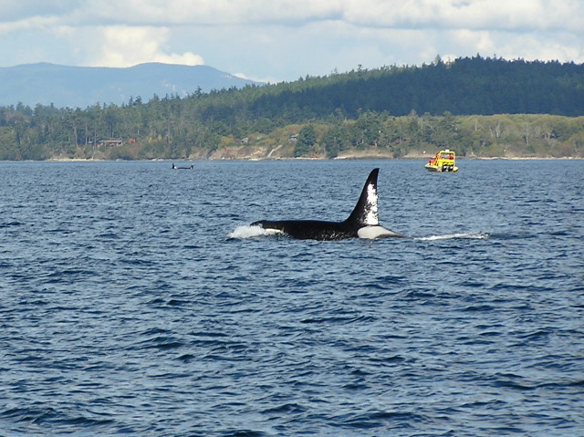 05.10.03.L57.JPG copy