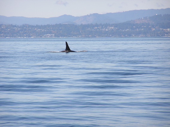 05.09.26.L78.JPG copy