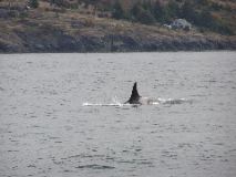 05.09.30.J2.JPG copy