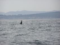 05.09.30.L71.JPG copy