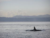 05.09.30.K40.JPG copy