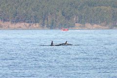 161_6140 J16 and friend copy