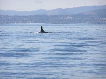 05.09.26.L78.JPG copy