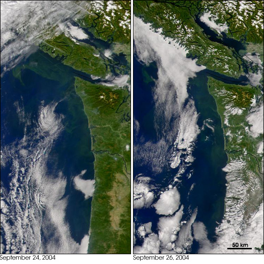 Toxic Algae Bloom off Washington