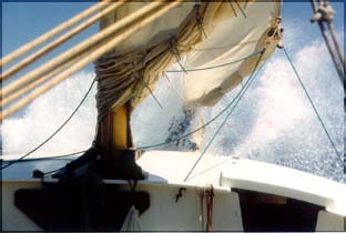 jwd1.jpg (20516 bytes)