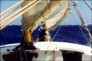 jwd2.jpg (22014 bytes)