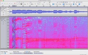 Spectrogram of 0.5 second sonar pings at 3.25, 6.5, and 9.75 kHz recorded on the Orcasound hydrophone.