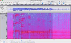 Complex sonar sequence recorded in Haro Strait on 1/13/2016.