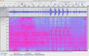 Spectrogram of 8-minute recording from the Lime Kiln hydrophone.