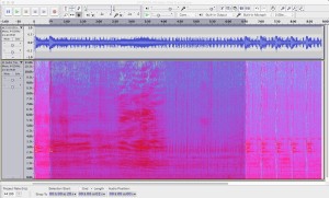 Spectrogram of 8-minute recording from the Orcasound hydrophone.