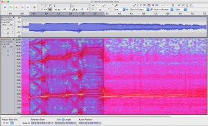 Spectrogram of a single ping on the Orcasound hydrophone at 10:55 a.m.