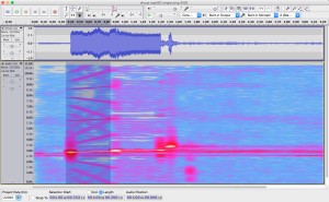 Spectrogram of a single ping from the SQS-53C sonar during the 2003 Shoup incident.